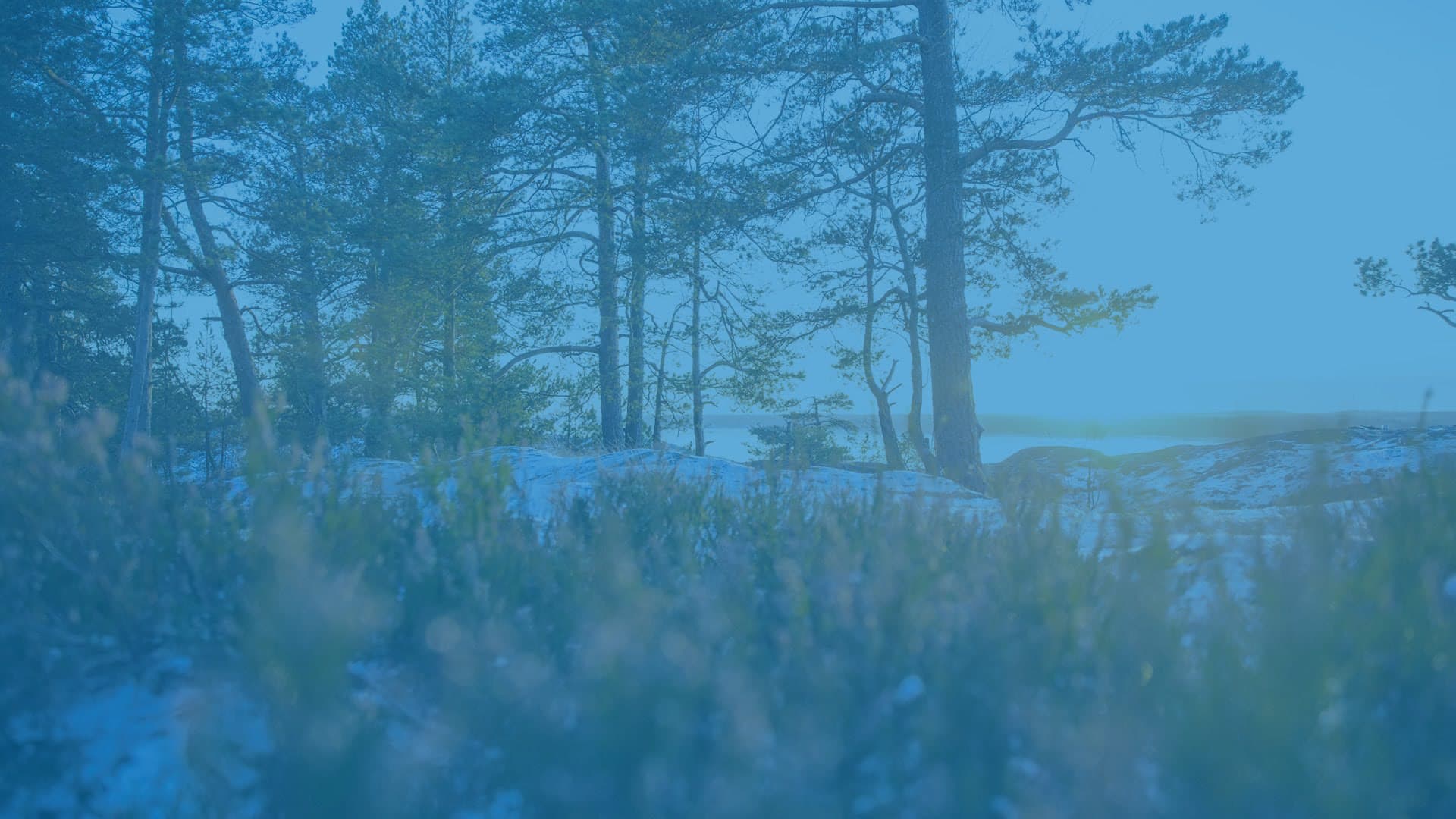 Abstrakti tyylikäs kuva edustamassa resilienssiä